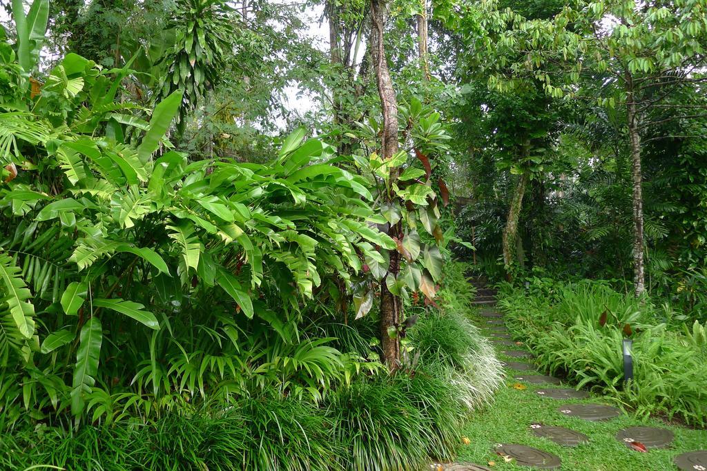 Villa Umah Shanti Ubud Zewnętrze zdjęcie