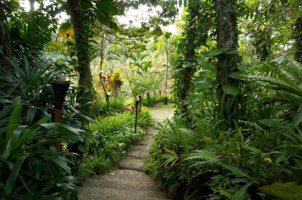 Villa Umah Shanti Ubud Zewnętrze zdjęcie