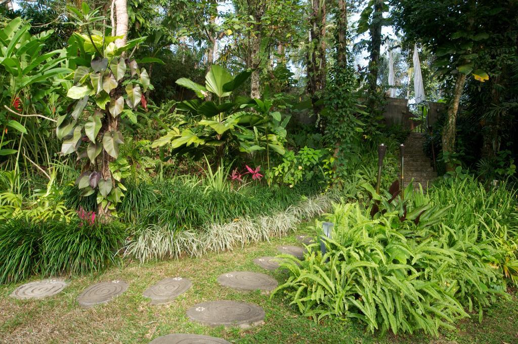 Villa Umah Shanti Ubud Zewnętrze zdjęcie